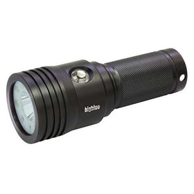 BIGBLUE VTL3800P · SPOT and VIDEO LIGHT